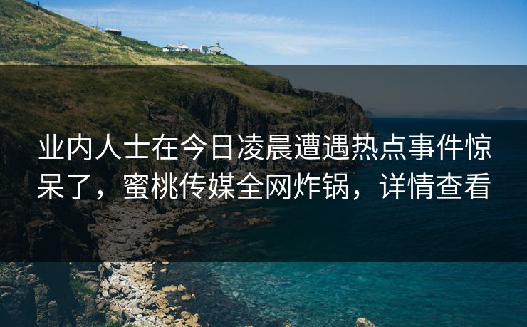 业内人士在今日凌晨遭遇热点事件惊呆了，蜜桃传媒全网炸锅，详情查看
