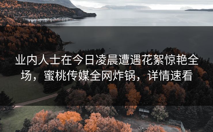 业内人士在今日凌晨遭遇花絮惊艳全场，蜜桃传媒全网炸锅，详情速看