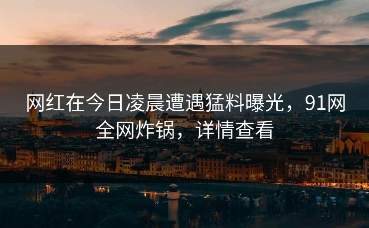 网红在今日凌晨遭遇猛料曝光，91网全网炸锅，详情查看