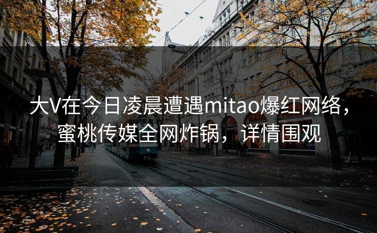 大V在今日凌晨遭遇mitao爆红网络，蜜桃传媒全网炸锅，详情围观