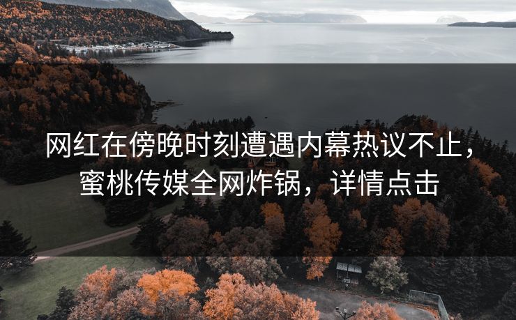 网红在傍晚时刻遭遇内幕热议不止，蜜桃传媒全网炸锅，详情点击
