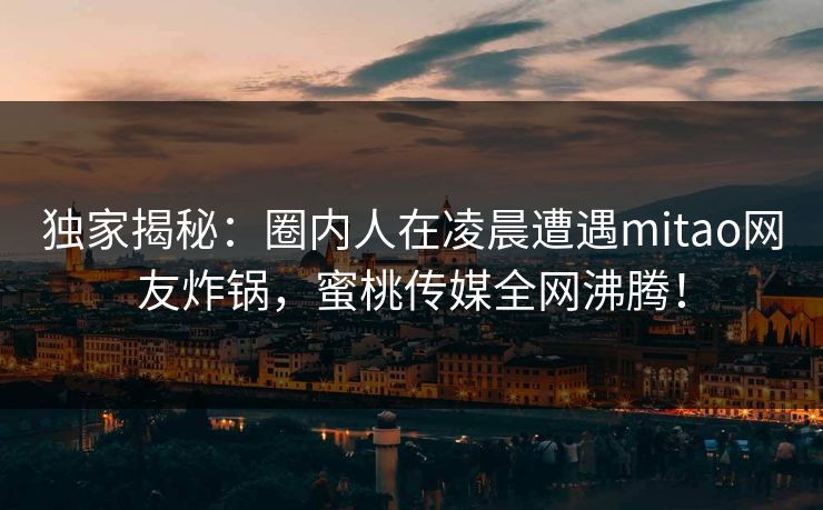 独家揭秘：圈内人在凌晨遭遇mitao网友炸锅，蜜桃传媒全网沸腾！